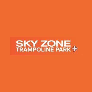 Sky-Zone-Logo-300.jpg