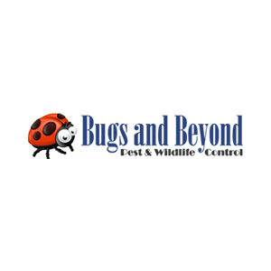 Bugs-and-Beyond-Pest-Control-Service.jpg