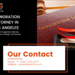 Let-Our-Immigration-Attorney-Guide-You-Through-The-Process.jpg